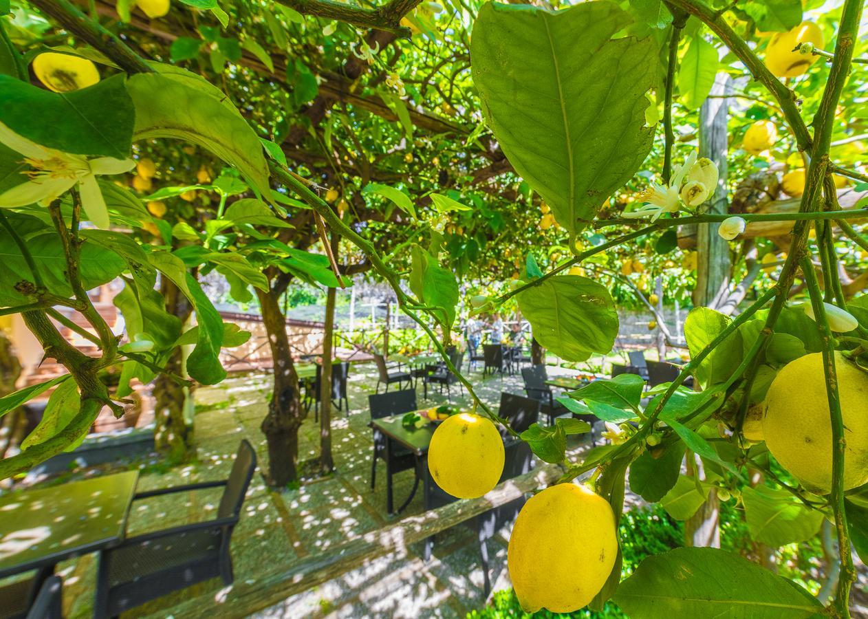 Maiori Antica Hotel ภายนอก รูปภาพ